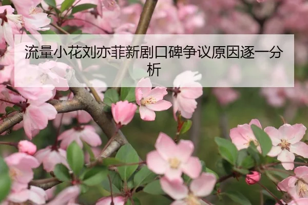 流量小花刘亦菲新剧口碑争议原因逐一分析